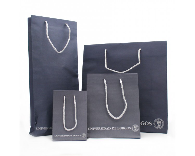 Bolsa de papel con cordones plateados Bolsa de papel con cordones plateados