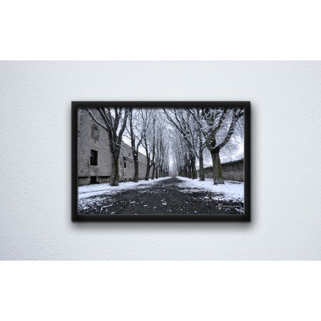 Póster parque del Parral nevado