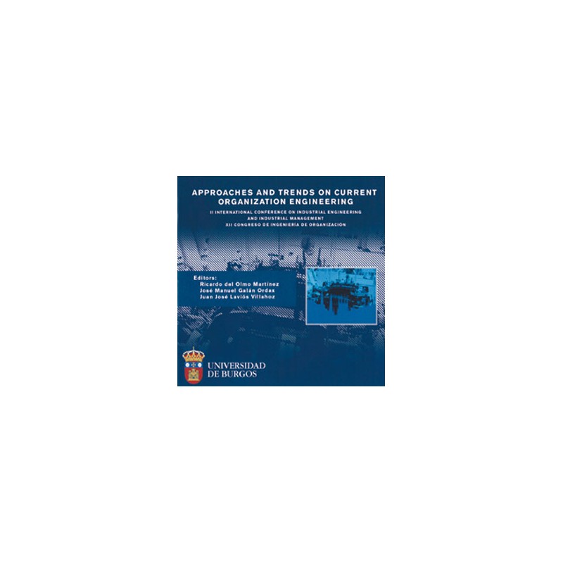 Approaches and trends on current organization engineering