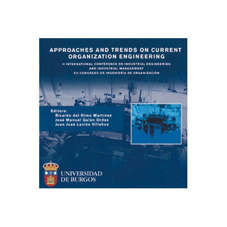 Approaches and trends on current organization engineering